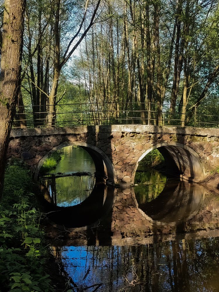 Photograph by Maria Stankevich