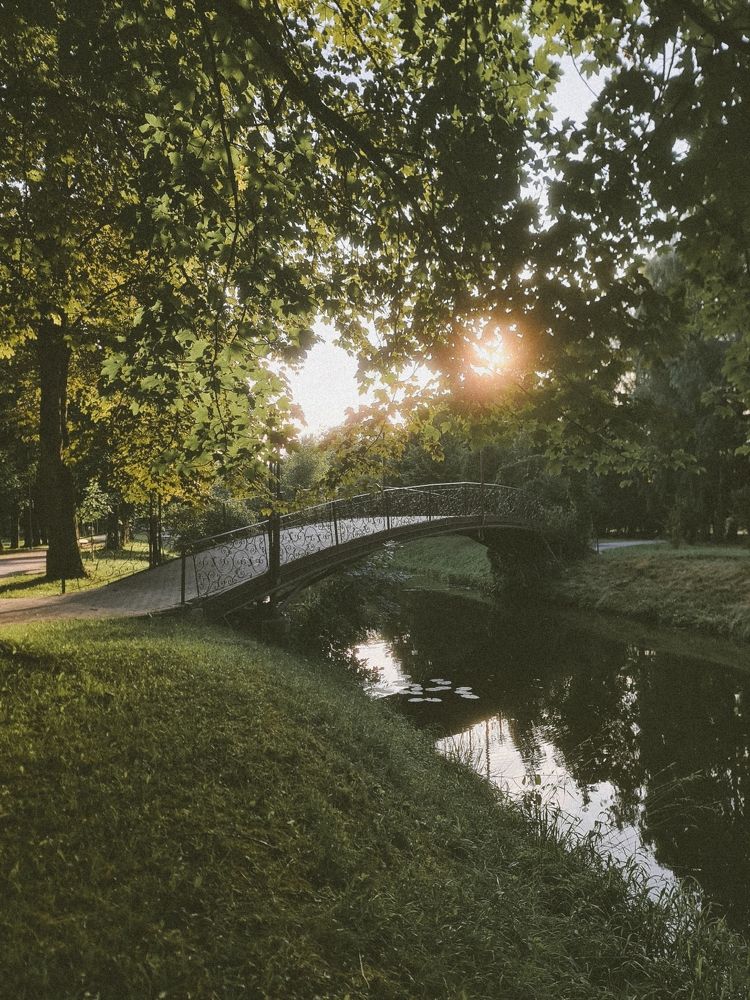 Photograph by Victoria Stoliarenko