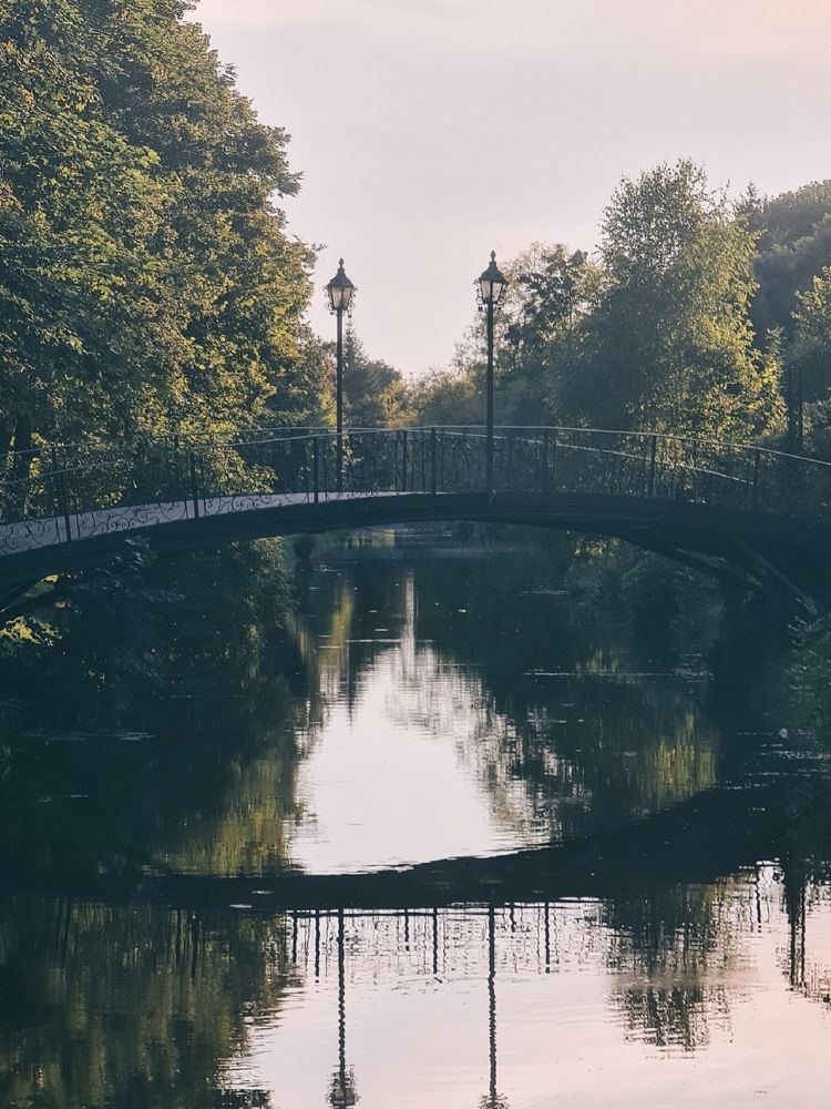 Photograph by Victoria Stoliarenko