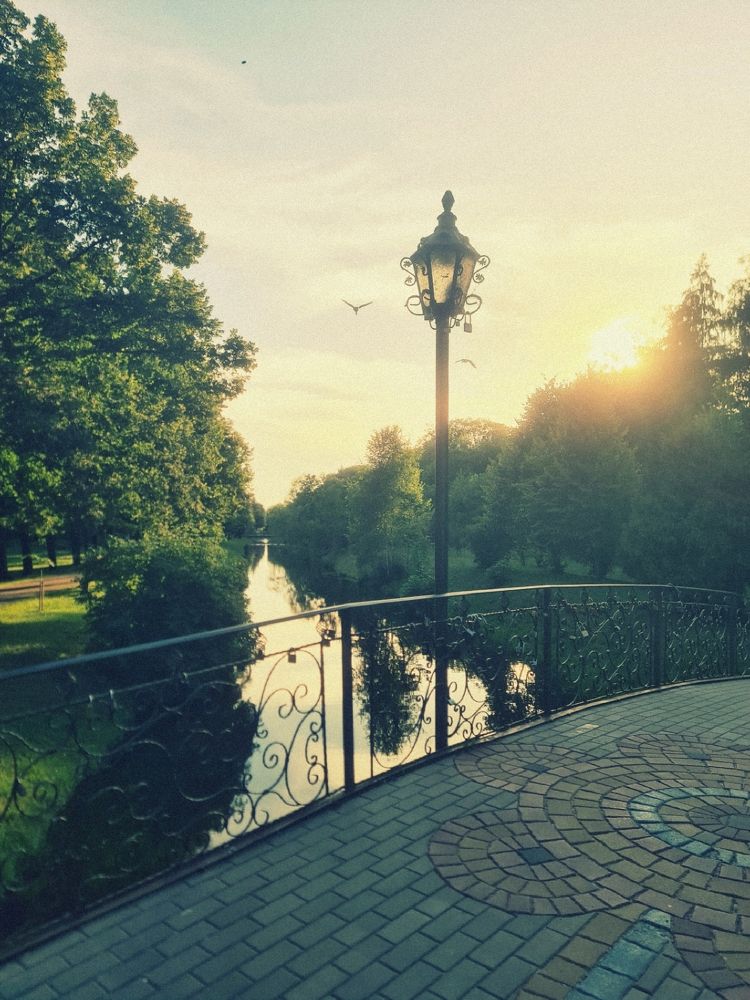 Photograph by Victoria Stoliarenko