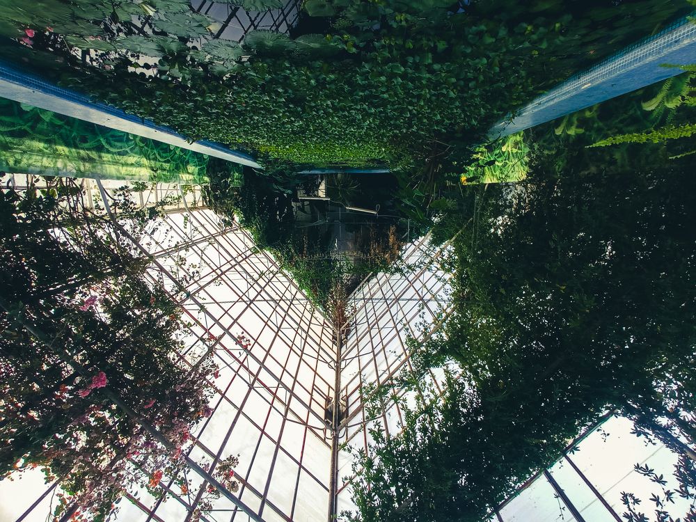 Photograph by Анастасия Толмачева