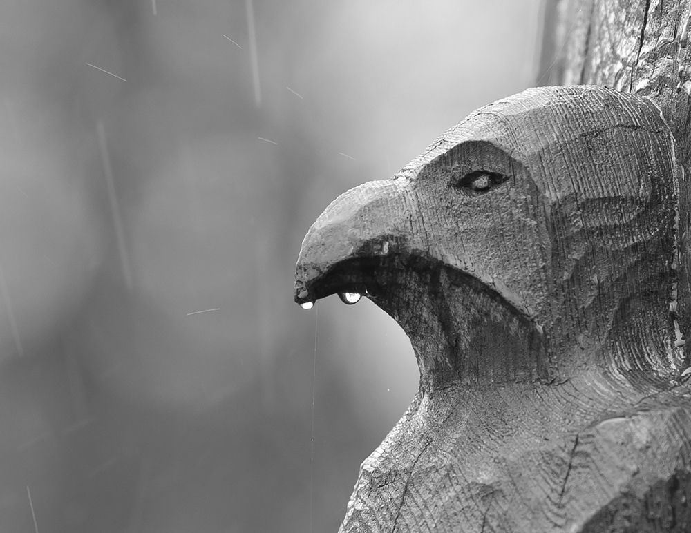 Photograph by Сергей Галёса