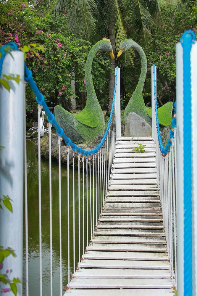 Photograph by Людмила Савчук