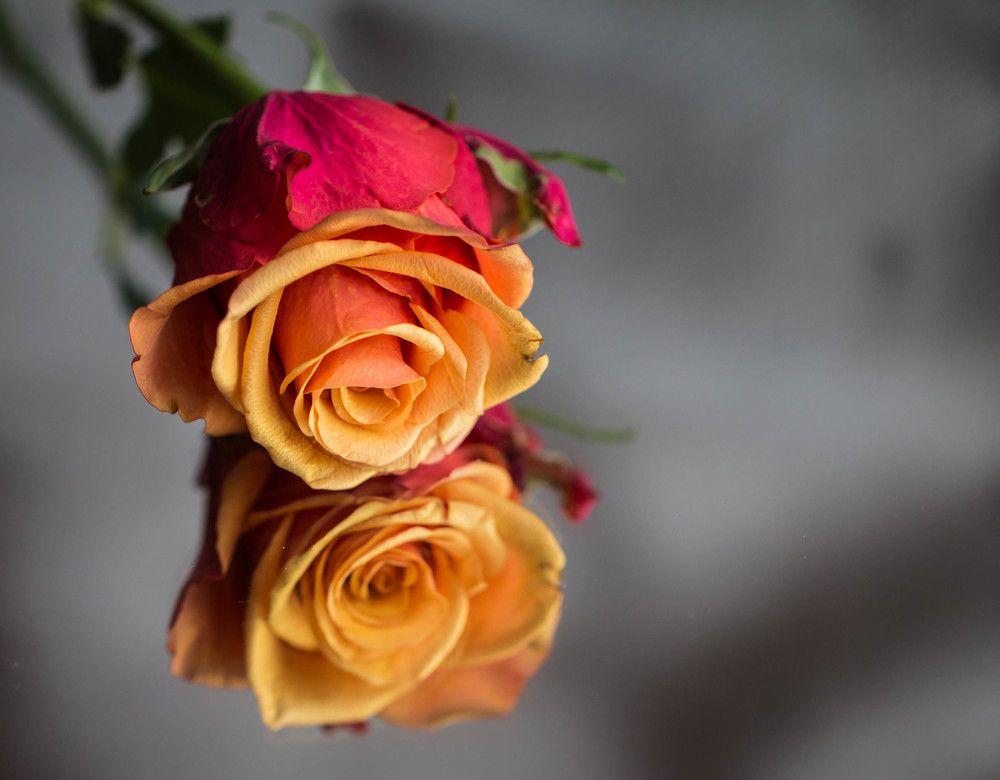 Photograph by Malinda Badenhorst