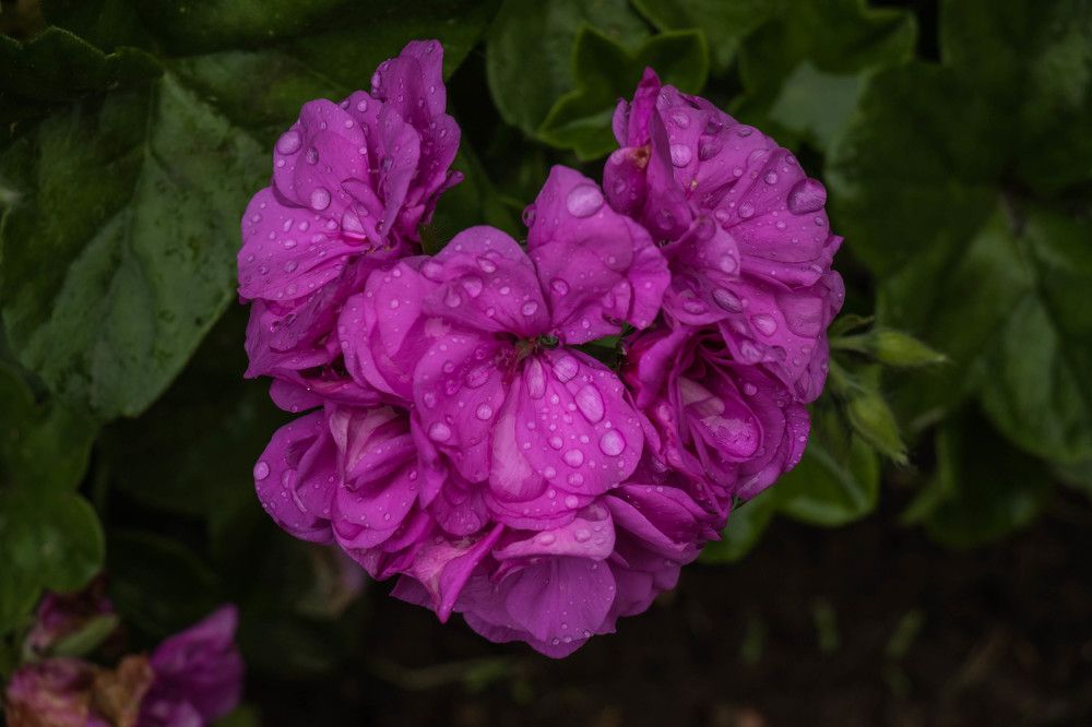 Photograph by Malinda Badenhorst