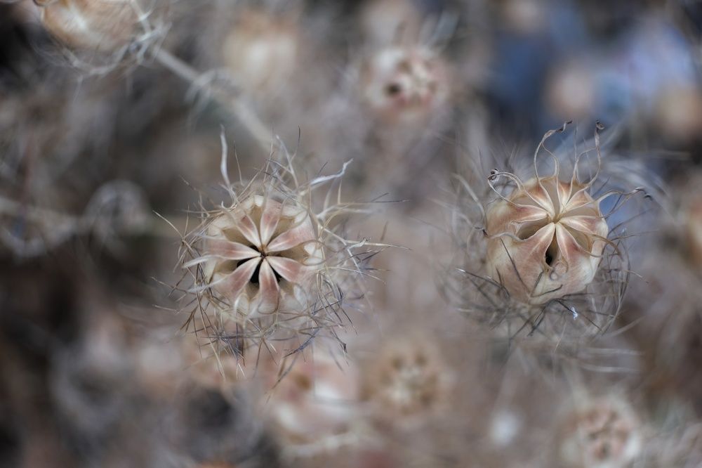 Photograph by Екатерина Загородина