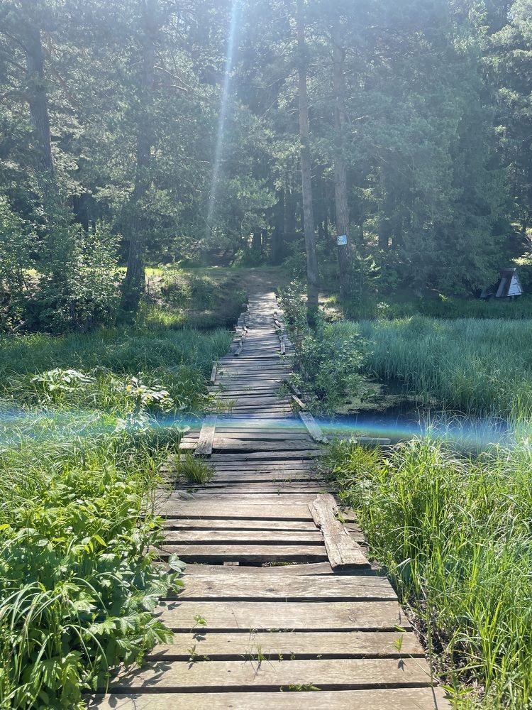 Photograph by Алина Щекотова