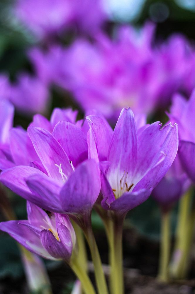 Photograph by Любовь Иванова