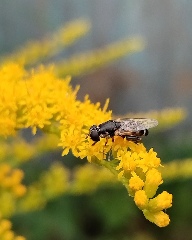 Photograph by Татьяна