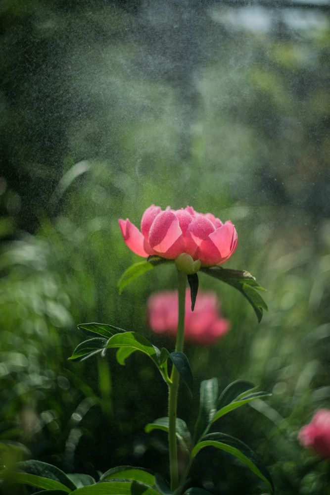 Photograph by Наталья Лещинская