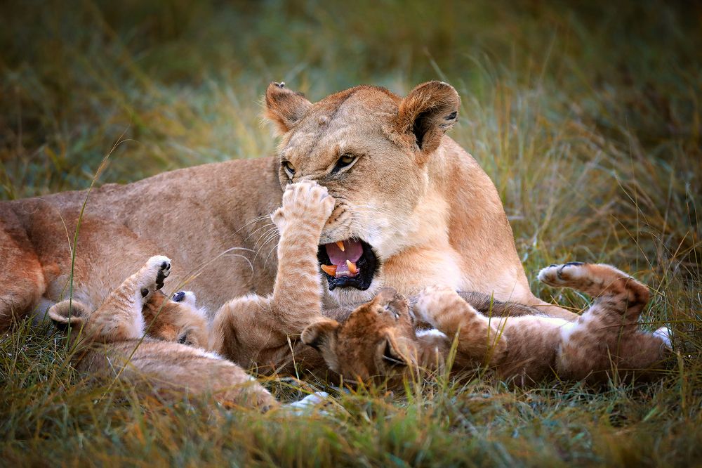 Photograph by Ирина Худзинская