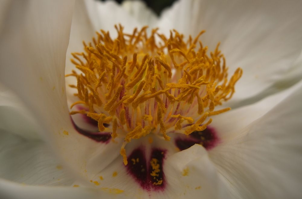 Photograph by Анна Матецкая