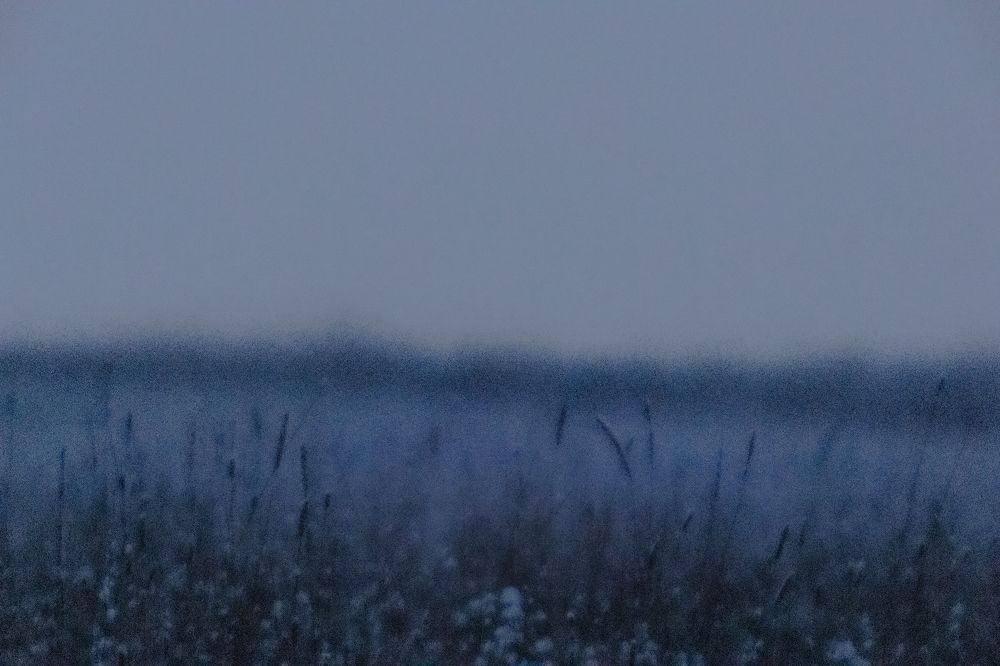 Photograph by Алексей Широбоков