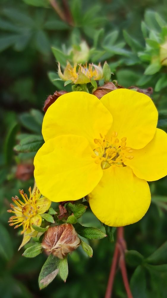 Photograph by Людмила Щуцкая