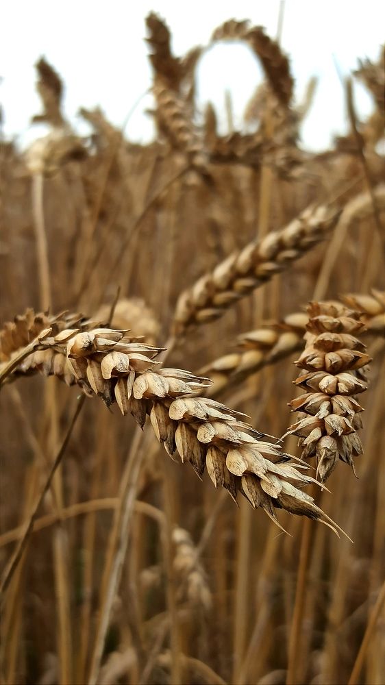 Photograph by Людмила Щуцкая