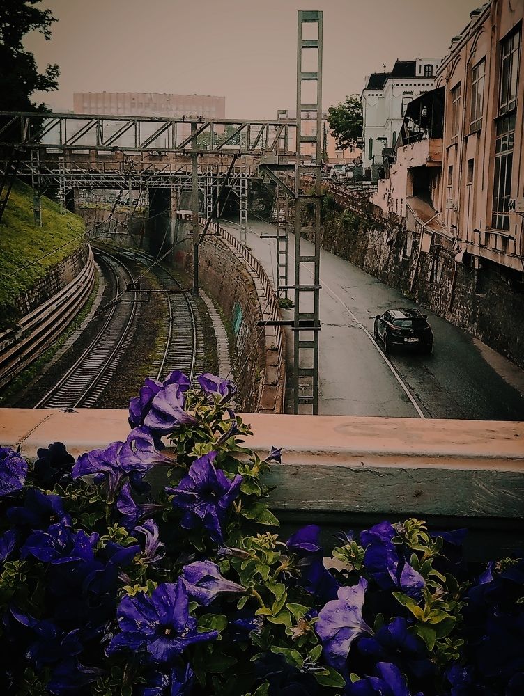 Владивосток.Июль.