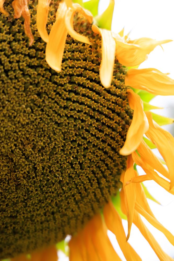 Photograph by Ольга Мазлова