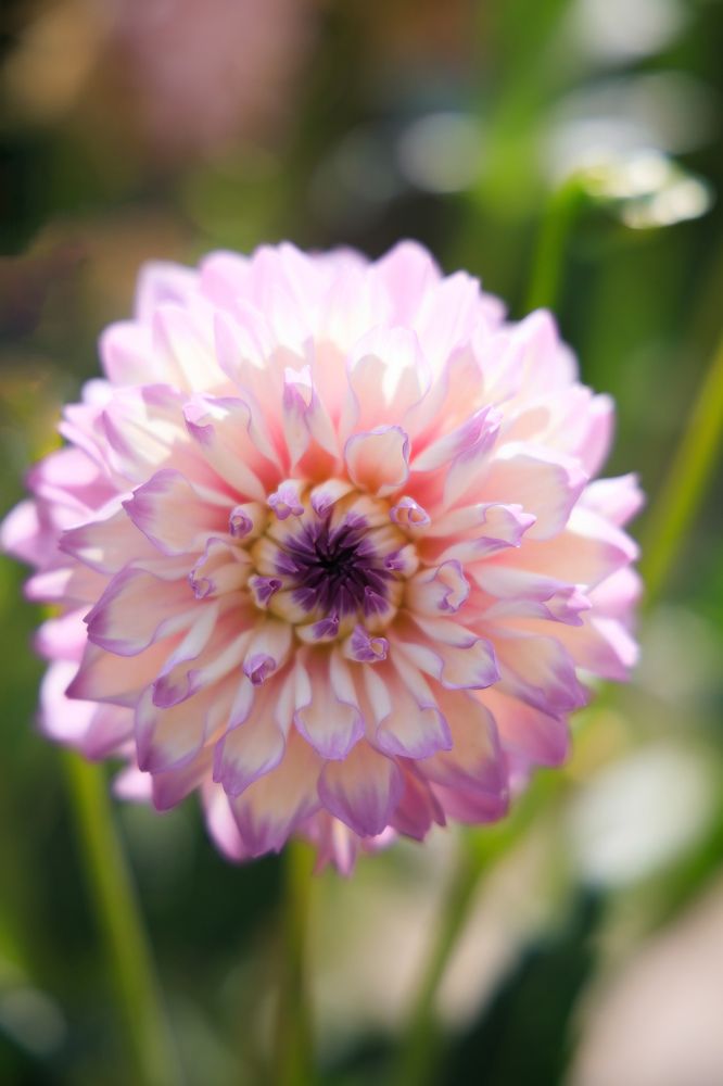 Photograph by Ольга Мазлова