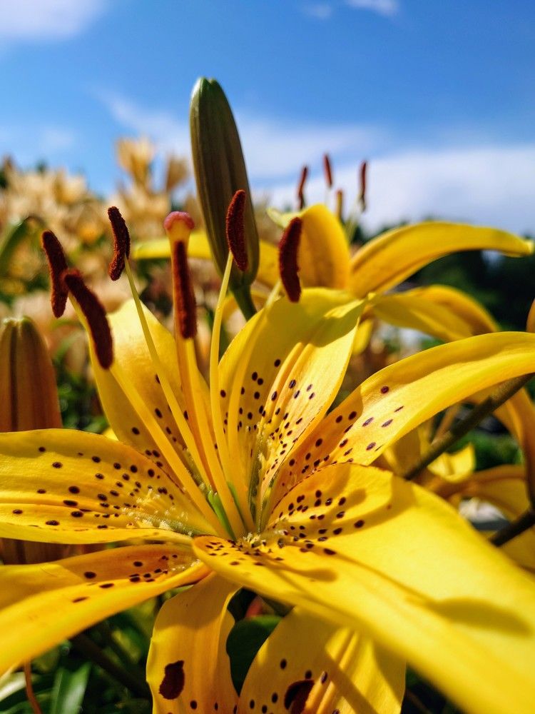 Photograph by Илья Семенчук