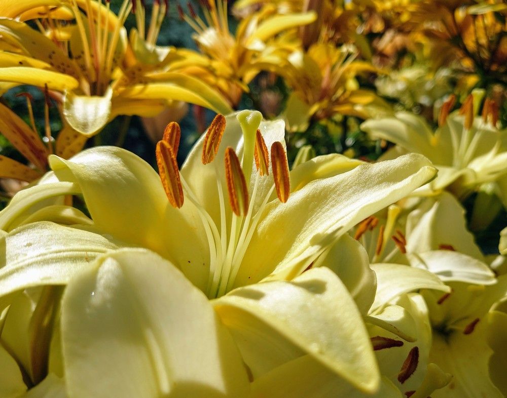 Photograph by Илья Семенчук