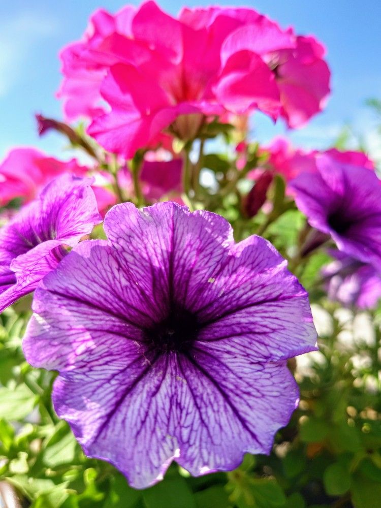 Photograph by Илья Семенчук