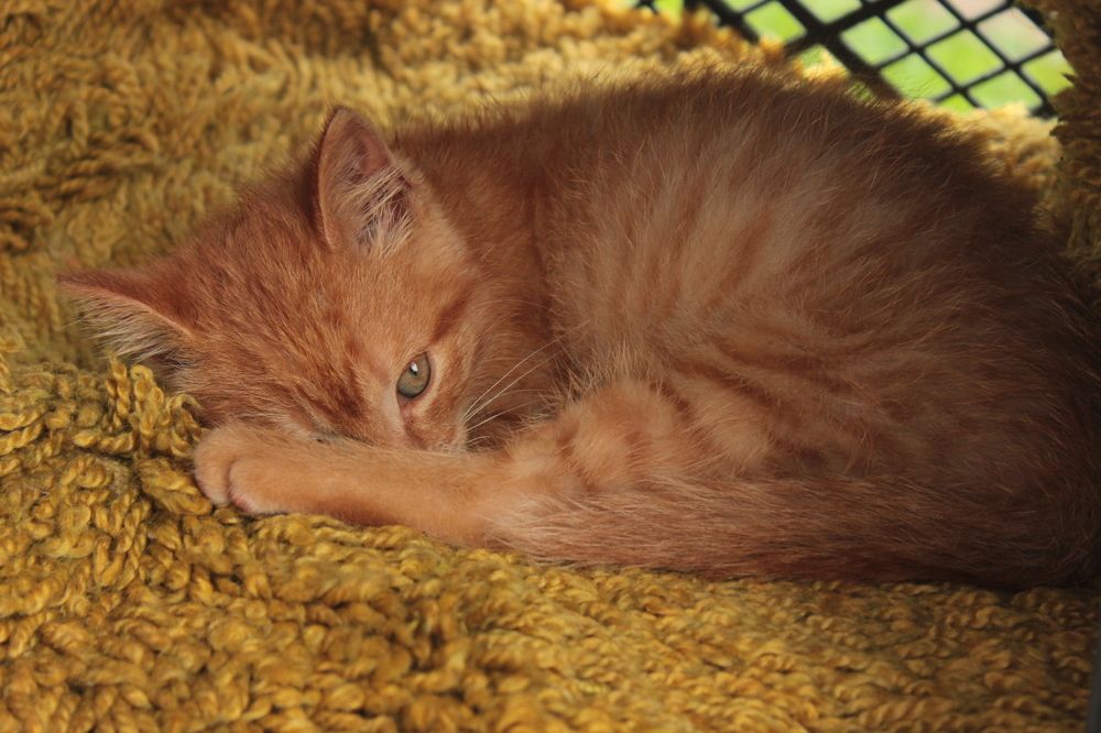 Photograph by Ксения Юргенфельд