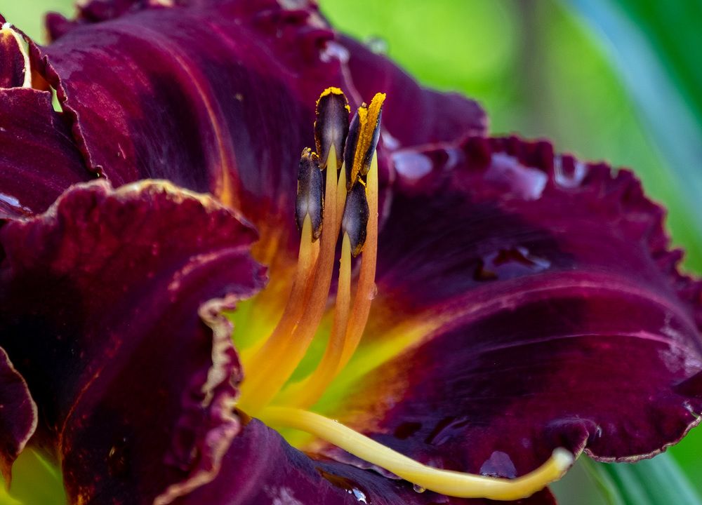 Фотография автора Наталья Липовская