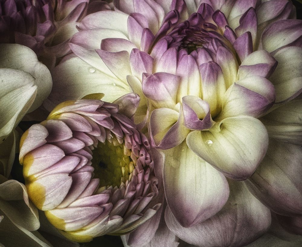 Photograph by Кира Бахвалова