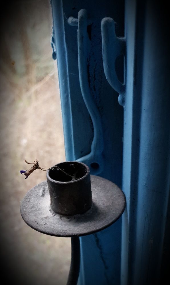 Осталась только пыль и засохшая фиалка..