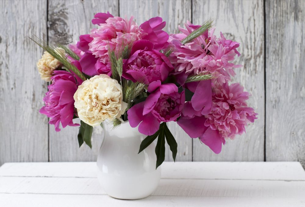 Photograph by Галина Щипакина