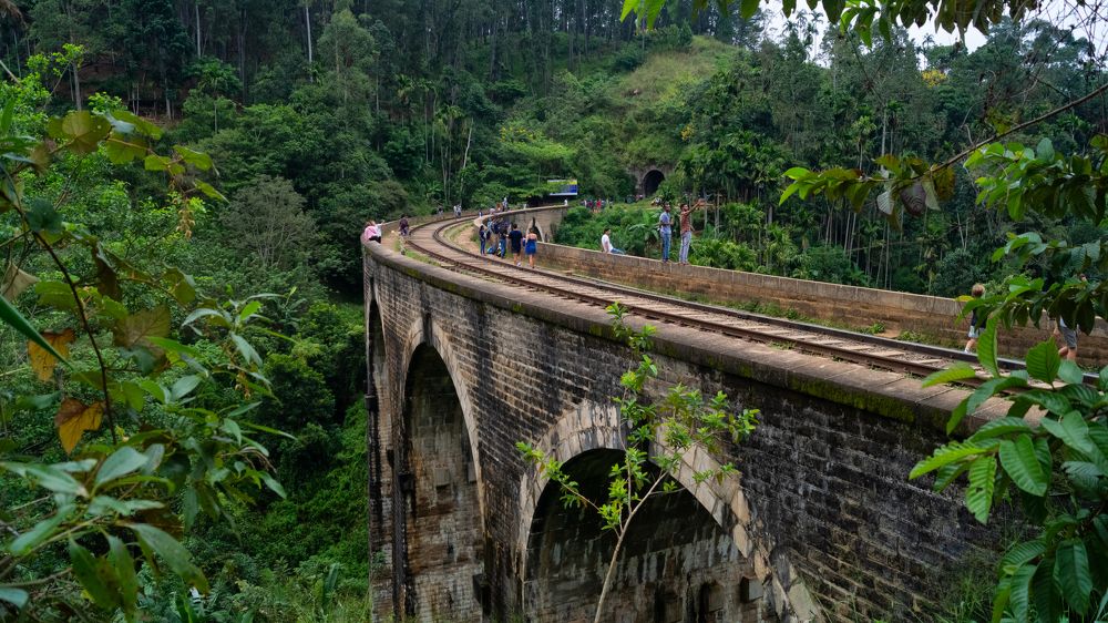 Photograph by Наталья Ерохина