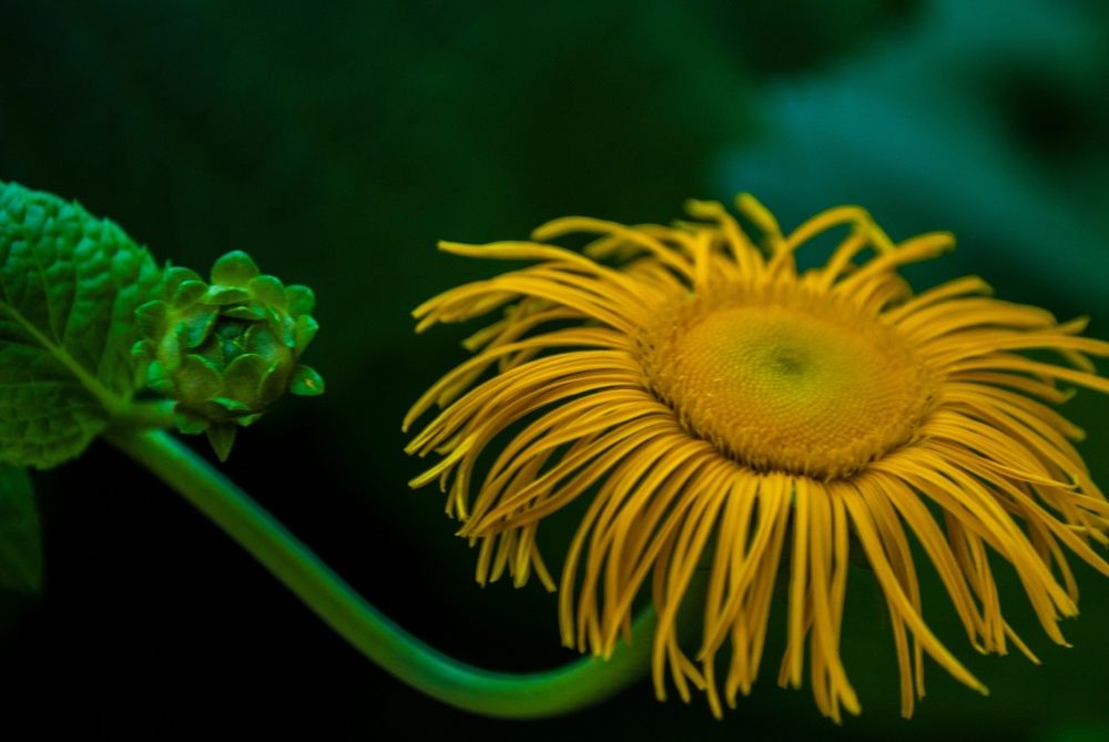 Photograph by Бондарева Татьяна