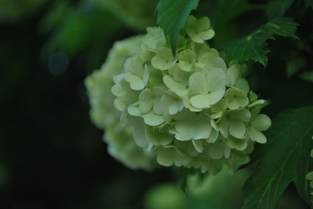 Photograph by Бондарева Татьяна