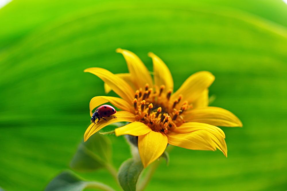 Photograph by Andrey