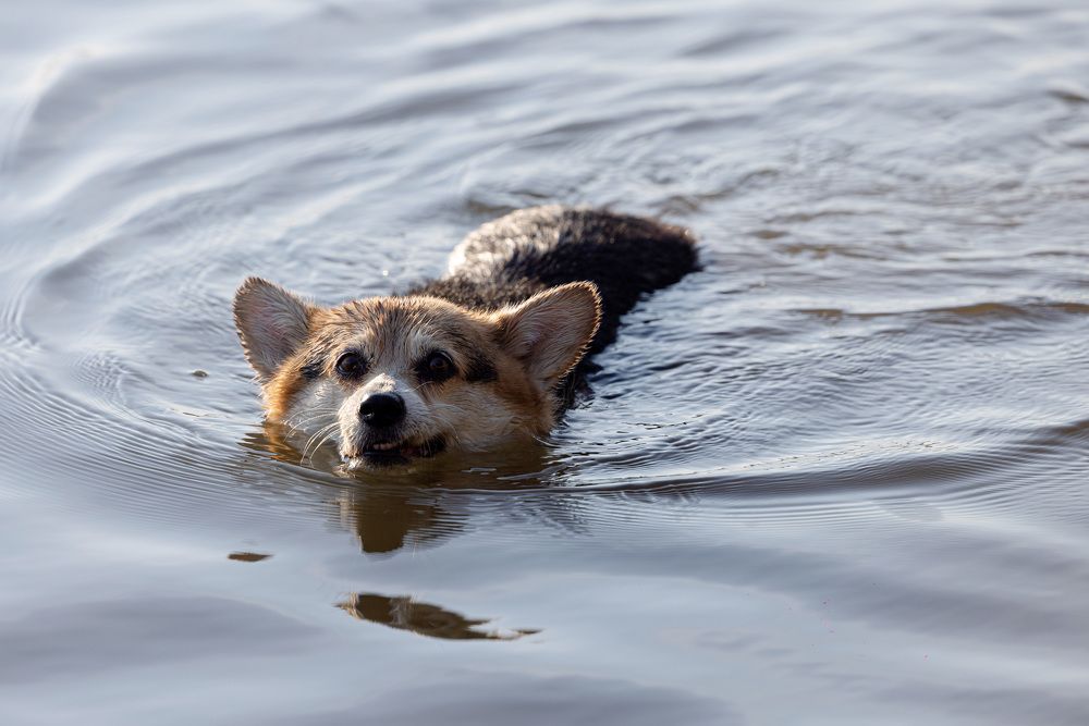 Photograph by Вербицкий Петр
