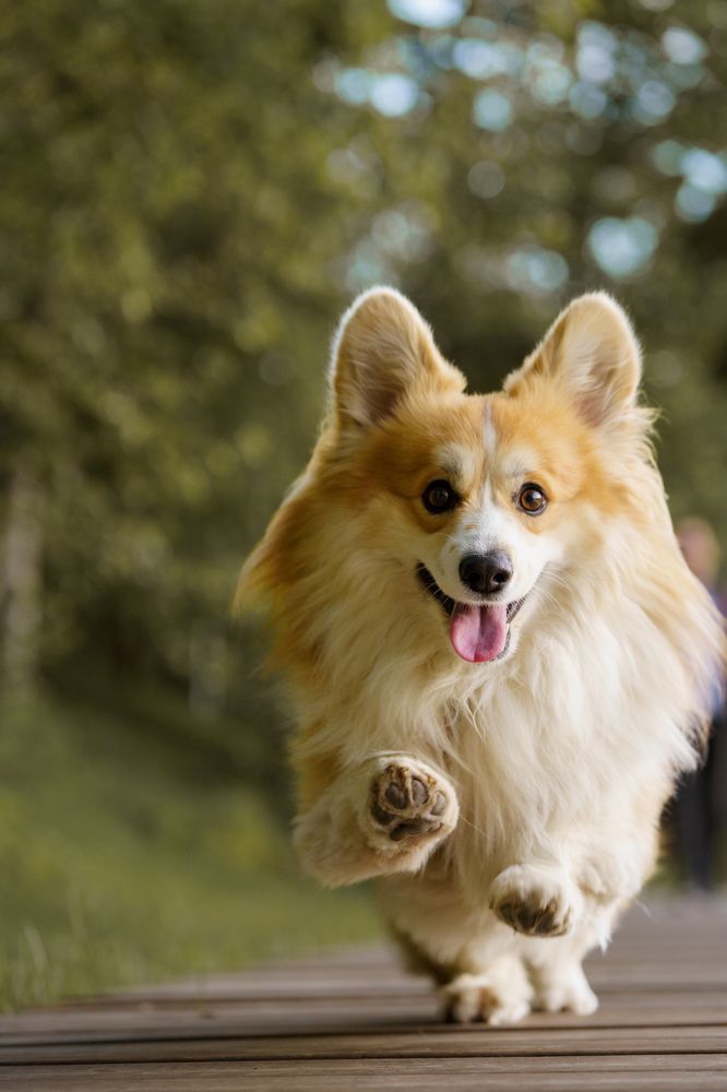 Photograph by Анна Полушина