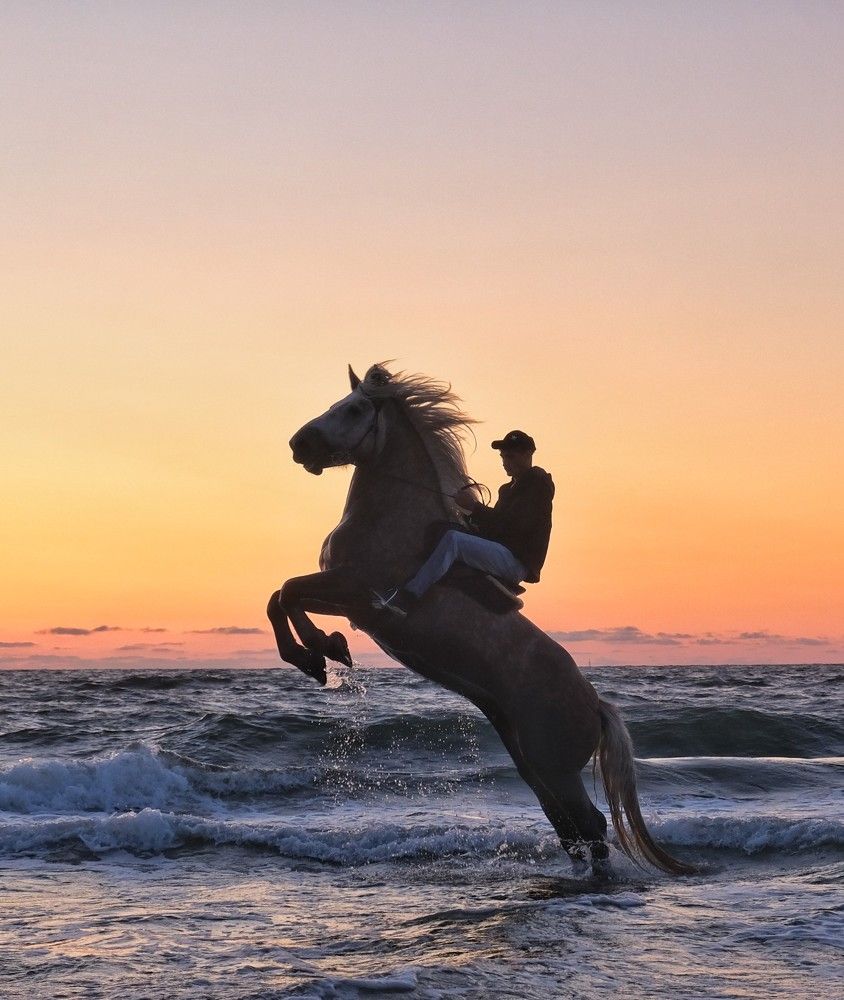 Photograph by Natalia Bolotenkova