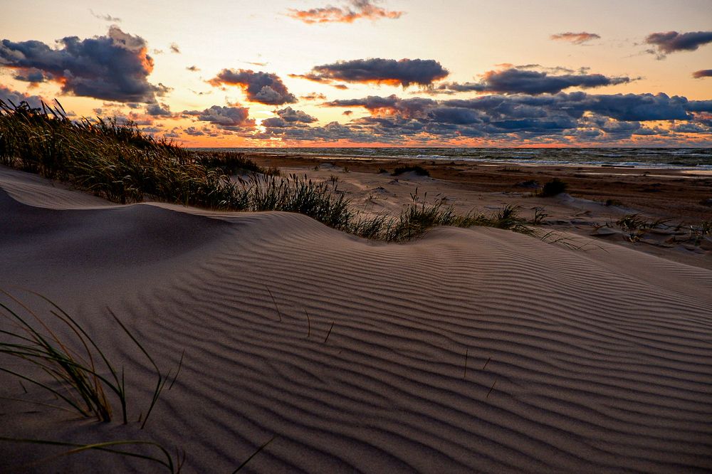 Фотография автора Elvijs Kalnins