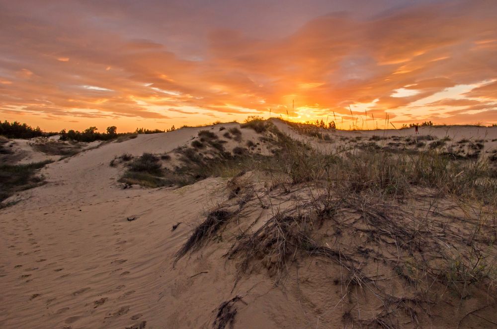Photograph by Валерий Наумов