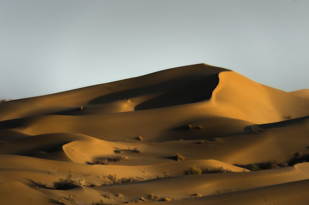 Фотография автора Amin Pasi Shirazi