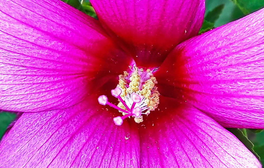 Photograph by Валерий Наумов