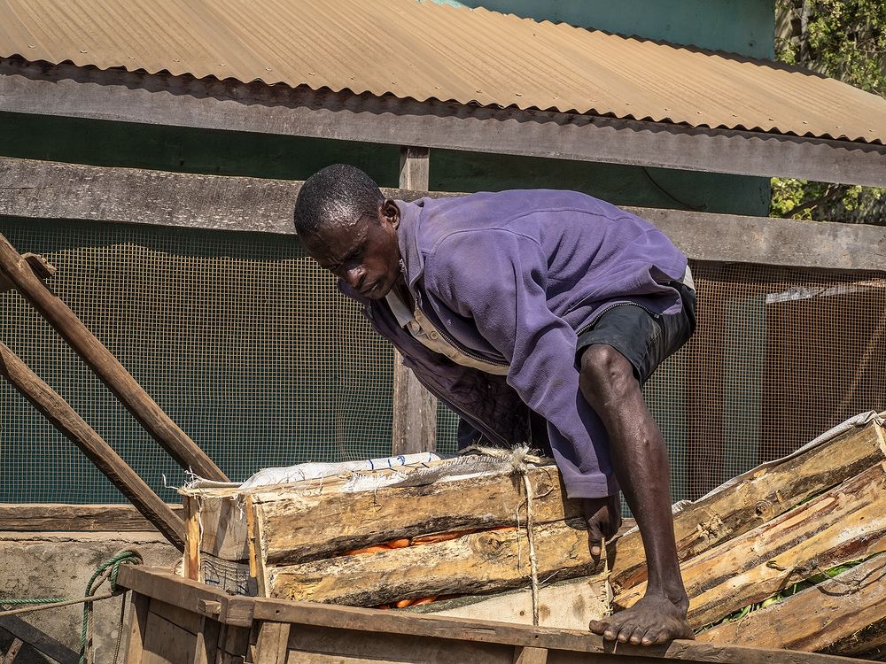 Тяжелый мужской труд. Мадагаскар.