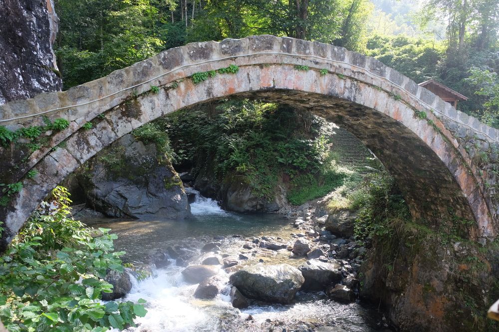 Photograph by Muzaffer Sütlüoğlu