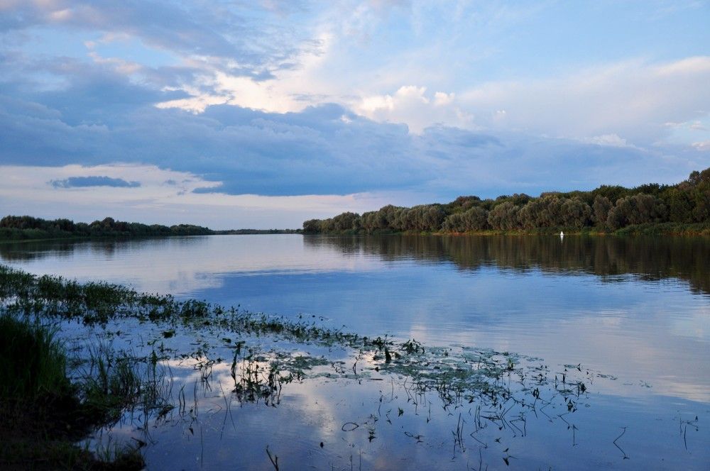 Photograph by Надежда Рудакова