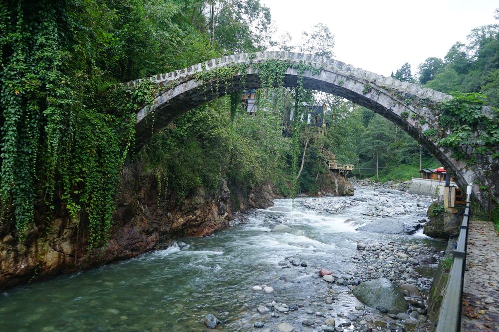Photograph by Muzaffer Sütlüoğlu