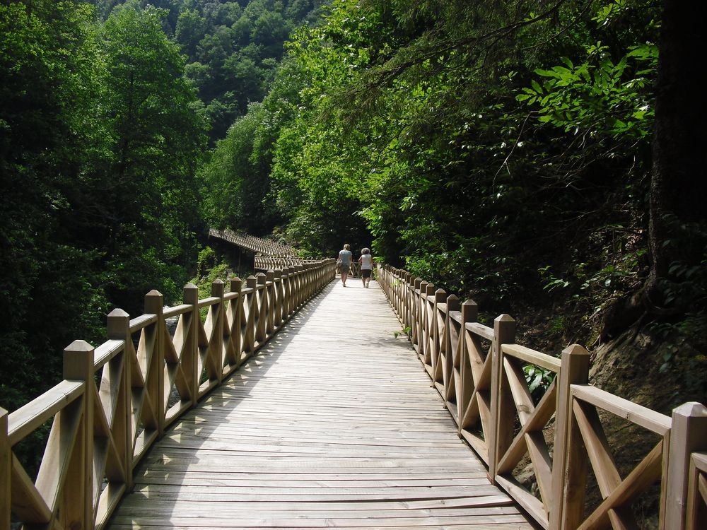 Photograph by Muzaffer Sütlüoğlu