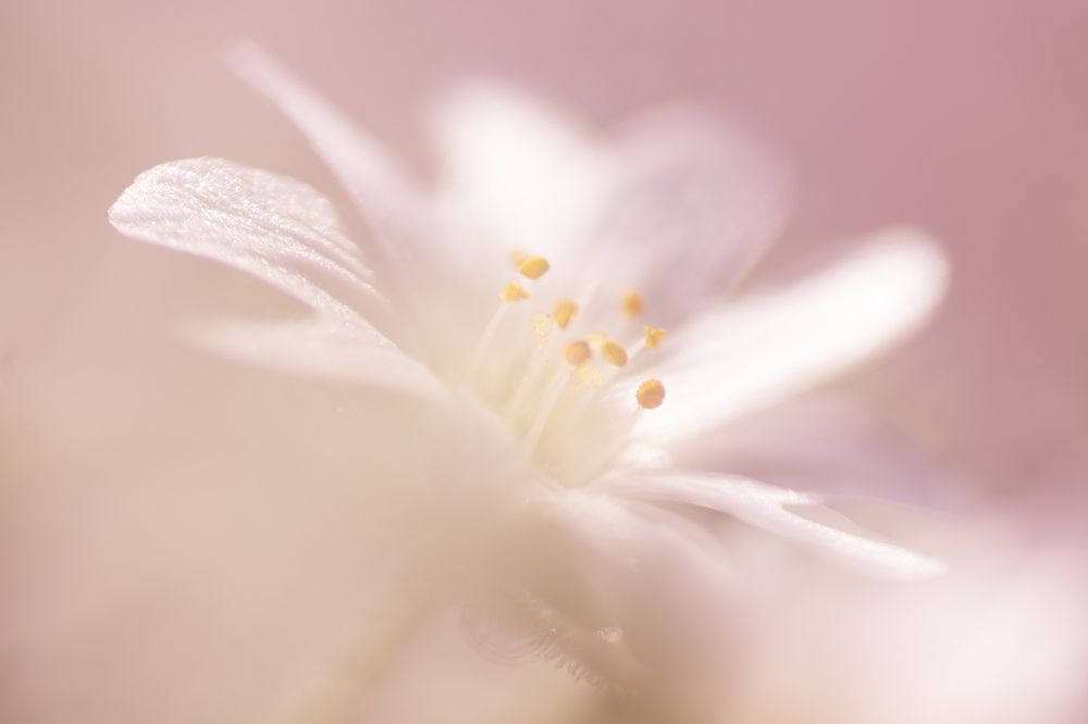 Photograph by Светлана Андреева