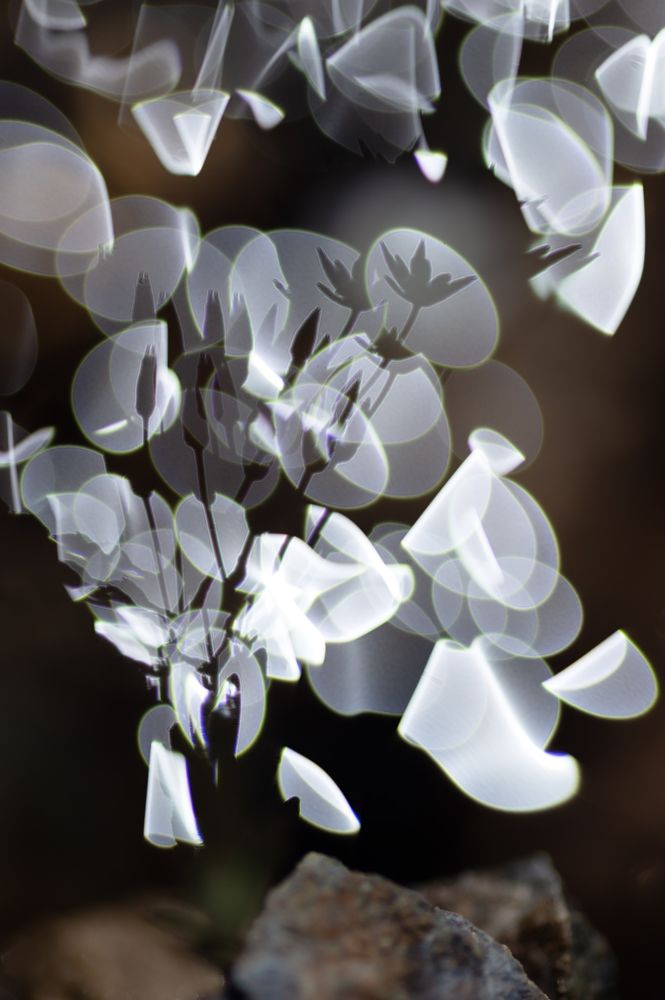 Photograph by Светлана Андреева