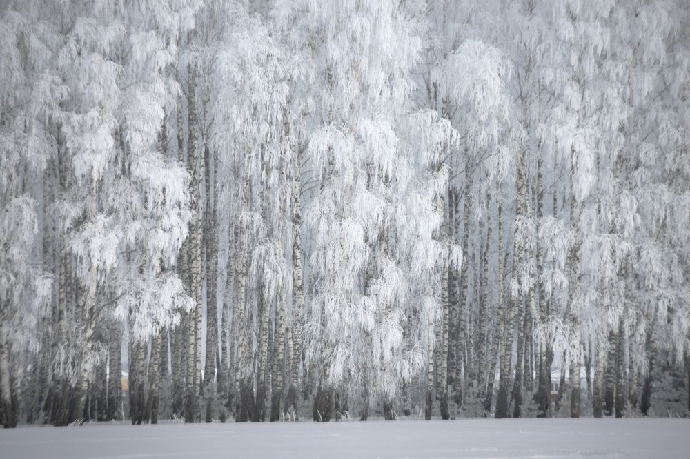Photograph by Татьяна Романова