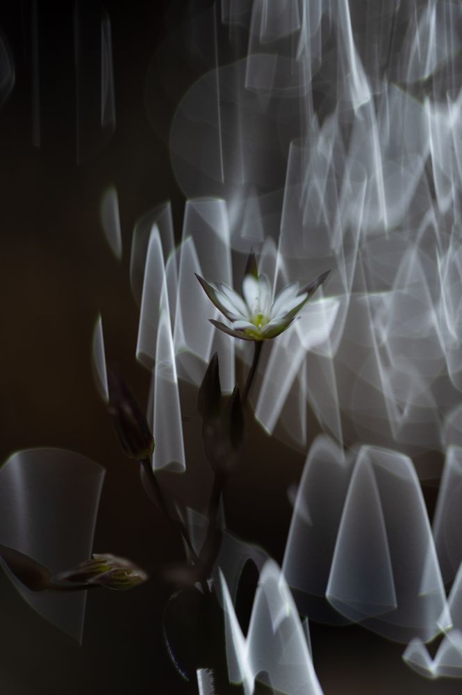 Photograph by Светлана Андреева